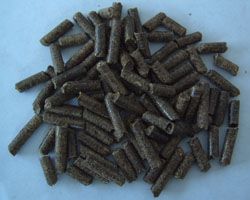 明博体育官网app