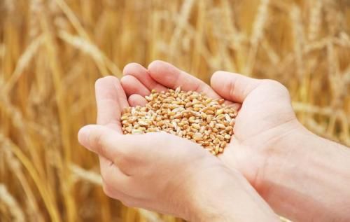 明博体育官网app