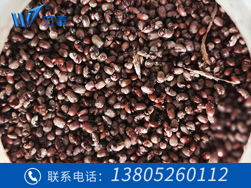 明博体育官网app